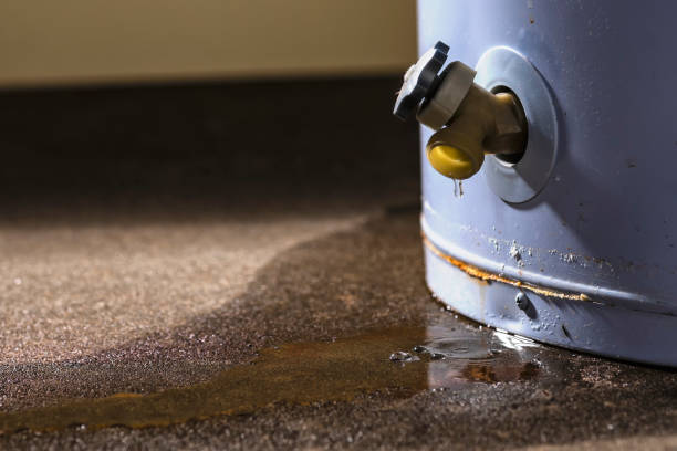 Best Flood damage cleanup  in Mckenzie, TN