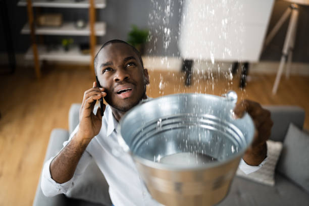 Best Ceiling water damage repair  in Mckenzie, TN