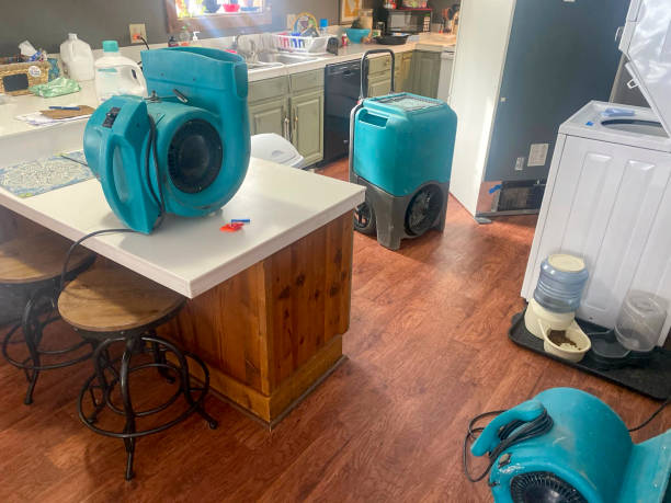 Best Water damage restoration near me  in Mckenzie, TN