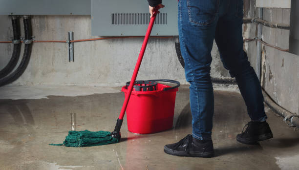 Best Professional water damage repair  in Mckenzie, TN