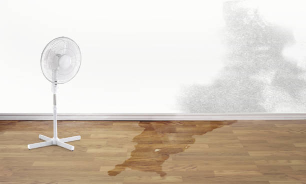 Best Sewage cleanup and water damage restoration  in Mckenzie, TN