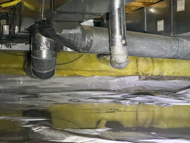 Best Water damage restoration near me  in Mckenzie, TN